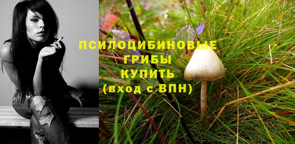 каннабис Арсеньев