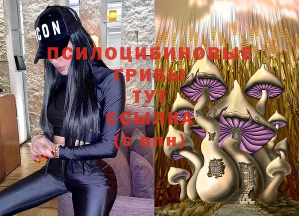 трава Армянск